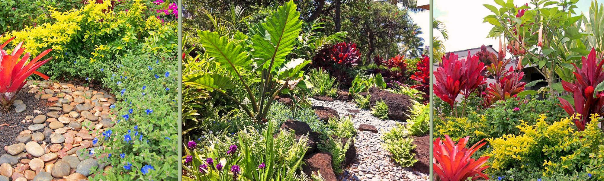 Horticultural Consultants International